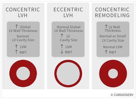 concentric vs eccentric hypertrophy causes.